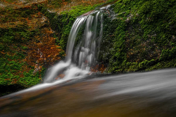 Creek Jedlova Montagne Jizerske Primavera Mattina Nuvolosa — Foto Stock