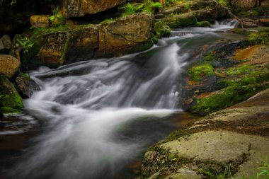 Krkonose dağlarındaki Karpacz kasabasındaki şelale yakında taze bir sabah olacak.