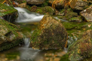 Plomnica deresi yakında bahar sabahı Karpacz kasabası yakınlarında.