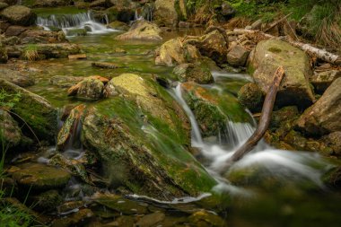 Plomnica deresi yakında bahar sabahı Karpacz kasabası yakınlarında.