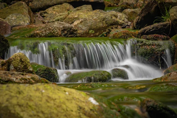 Ruisseau Plomnica Près Ville Karpacz Printemps Bientôt Frais Matin — Photo