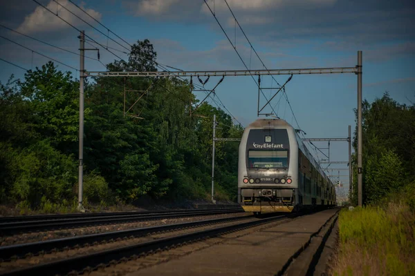 Поезда Главной Чешской Железной Дороге Прага Колин Летом Жарким Солнечным — стоковое фото