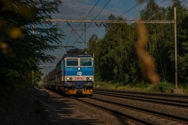 Trains Main Czech Railway Prague Kolin Summer Hot Sunny Evening — Fotografia de Stock