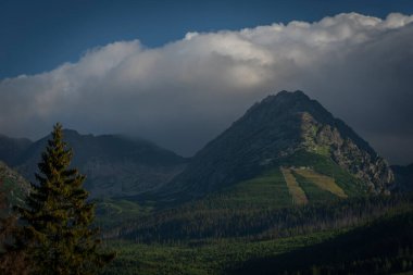 Vysoke Tatry mountains in summer cloudy fresh morning near Strbske Pleso village