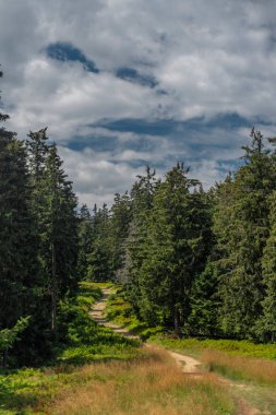 Summer stormy cloudy day in Zywiecki park Krajobrazowy with colorfull fresh view