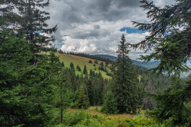 Summer stormy cloudy day in Zywiecki park Krajobrazowy with colorfull fresh view