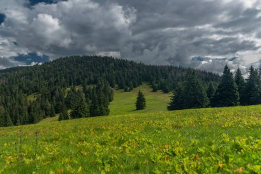 Summer stormy cloudy day in Zywiecki park Krajobrazowy with colorfull fresh view