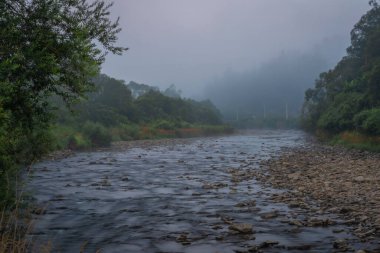 Sola river near confluence with Ujsola in Rajcza village in Poland mountains in summer morning