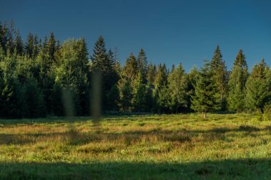 Summer Slovakia morning with blue sky and green fresh forest