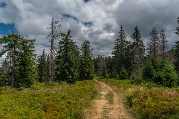 Summer Stormy Cloudy Day Zywiecki Park Krajobrazowy Colorfull Fresh View — 스톡 사진