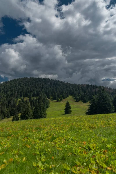 Summer Stormy Cloudy Day Zywiecki Park Krajobrazowy Colorfull Fresh View — Stockfoto