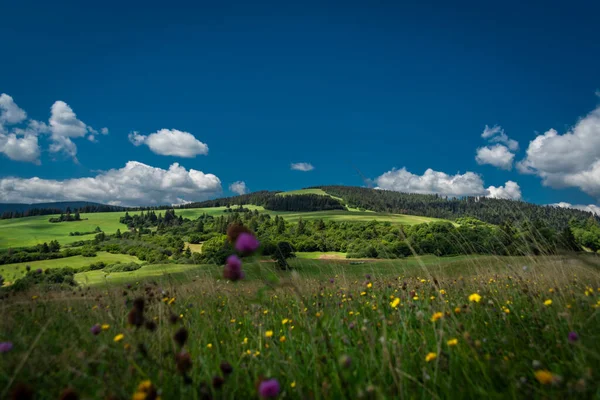 Landscape Tvrdosin Namestovo Towns North Slovakia Oravska Dam — Foto Stock