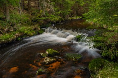 Krusne dağlarında taze çayır ve ormanları olan Rolava nehri.