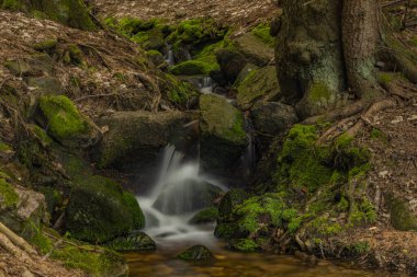Small creek near Bernov village before confluence with Nejdecky creek in spring evening