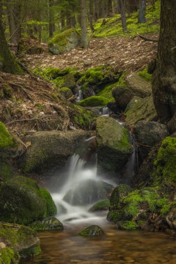 Small creek near Bernov village before confluence with Nejdecky creek in spring evening