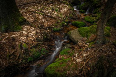 Small creek near Bernov village before confluence with Nejdecky creek in spring evening