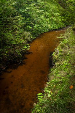 Raceway from Mensi Vltavice creek for monastery in Vyssi Brod town
