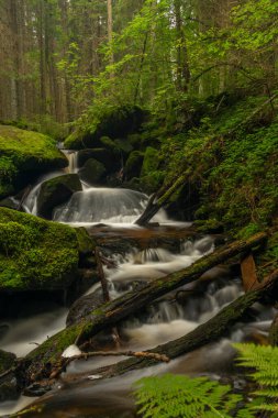 Waterfall of St. Wolfgang near Vyssi Brod town in south Bohemia near Austria border