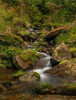 Yazın Krkonose dağlarındaki Spindleruv Mlyn kasabası yakınlarındaki Svatopetrsky deresi