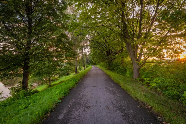 Cycle route with green sumer trees in fresh sunrise color morning