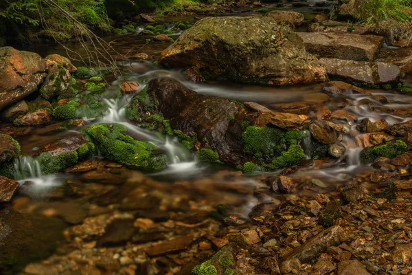 Svatopetrsky Bach Der Nähe Der Stadt Spindlermühle Riesengebirge Sommer — Stockfoto