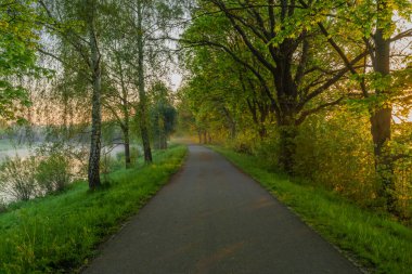 Ceske Budejovice şehrinde asfalt bisiklet yolu ilkbaharda güneşli bir sabah