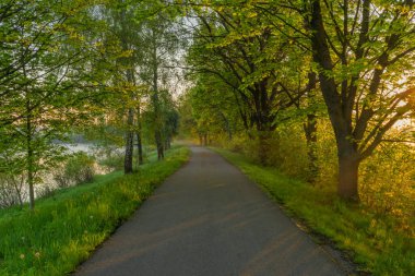 Ceske Budejovice şehrinde asfalt bisiklet yolu ilkbaharda güneşli bir sabah
