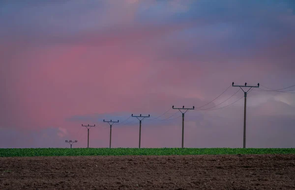 Осеннее Вечернее Поле Электрической Проволокой Столбами Цветным Небом После Заката — стоковое фото