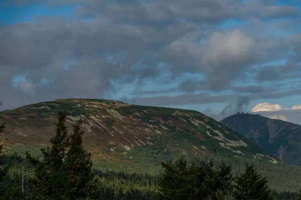 Snezka Heuvel Krkonose Bergen Met Blauwe Bewolkte Lucht Zomerdag — Stockfoto