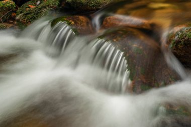 Sonbaharda Jizerske dağlarındaki Smrk tepesinin yakınındaki Ztraceny deresi taze bulutlu bir günde