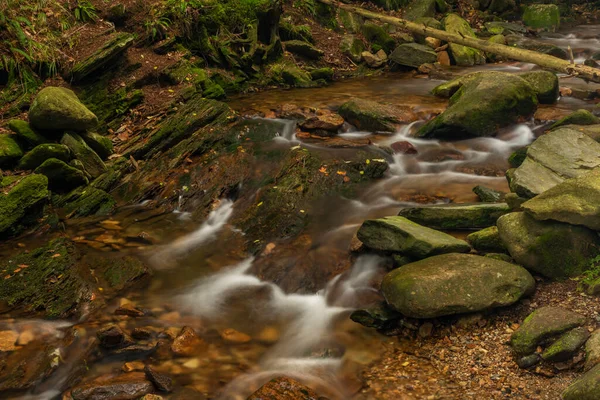 Bach Ztraceny Der Nähe Des Hügels Smrk Isergebirge Herbst Frisch — Stockfoto