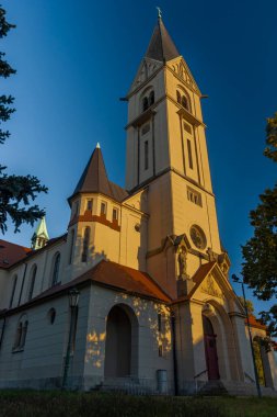 Ceske Budejovice şehrinde sonbahar renklerinde büyük kulesi olan bir kilise.
