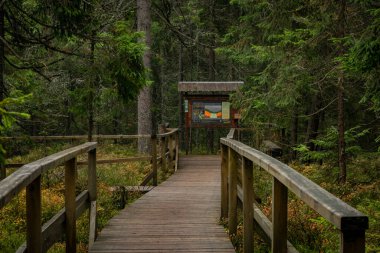 Slavkovsky 'deki Smradoch Kaplıcaları Sonbaharda Batı Bohemya' daki dağlarda