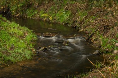 Sonbaharda Mnichovsky deresi, Mnichov ve Sitiny köyleri yakınlarında. Karanlık, taze bulutlu bir sabah.