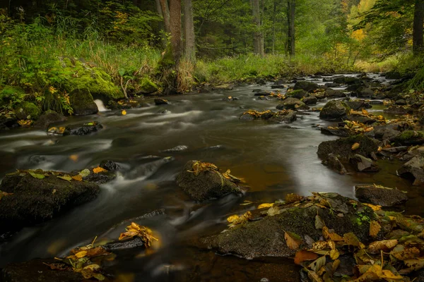 Pramensky Arroyo Cerca Mnichov Sitiny Pueblos Otoño Oscuro Fresca Mañana — Foto de Stock