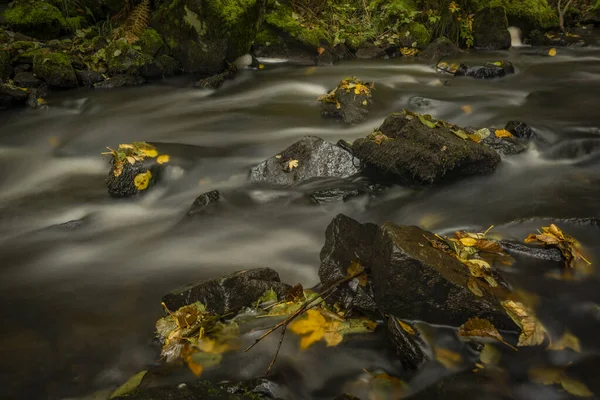 Pramensky Potoku Pobliżu Mnichov Sitiny Wsi Jesienią Świeże Zachmurzone Rano — Zdjęcie stockowe