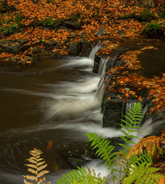 Hamersky Potoku Wodospadami Górach Luzicke Kolorze Jesienny Deszczowy Dzień — Zdjęcie stockowe