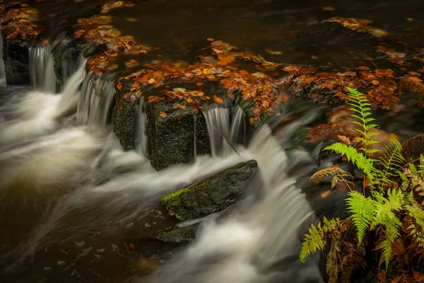 Hamersky creek with waterfalls in Luzicke mountains in color autumn rainy day