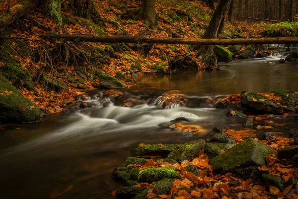 Hamersky Creek Waterfalls Luzicke Mountains Color Autumn Rainy Day — Stock Photo, Image