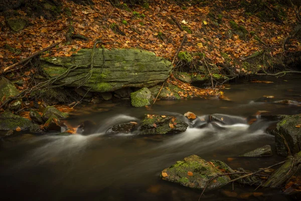 Hamersky creek with waterfalls in Luzicke mountains in color autumn rainy day