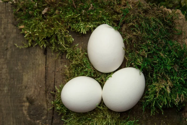 Yosun Tutmuş Yumurtalar — Stok fotoğraf