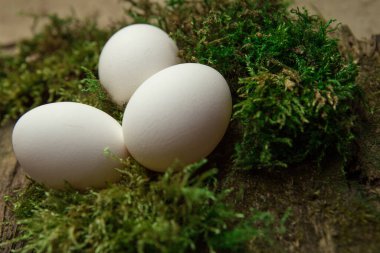 Yosun tutmuş yumurtalar. 