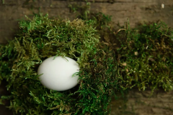 Яйцо Мху — стоковое фото