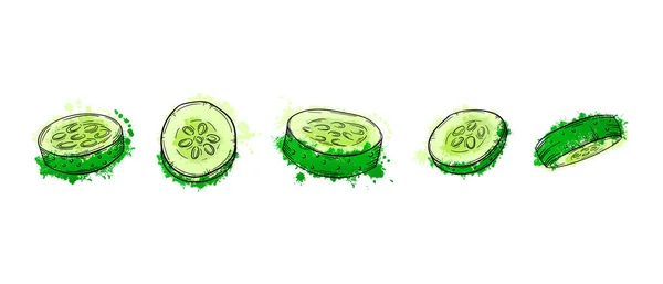  Vegetables sliced cucumber. Hand drawn sketch green watercolor painting on white background. Grunge ink texture frame graphic vector illustration. For menu, poster, or salad recipe.