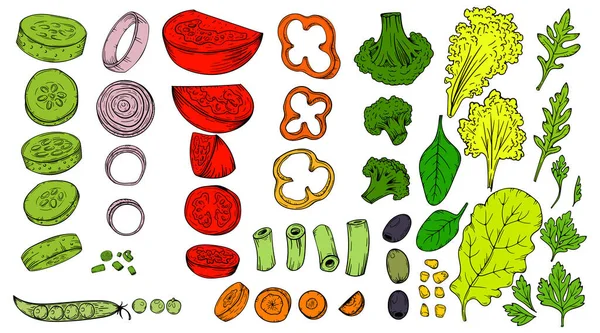 Vegetable Sketch Set Vector Harvest Thanksgiving Healthy Food Collection Sliced — Wektor stockowy