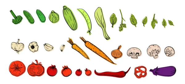 Vegetables Hand Drawn Illustration Sketch Colorful Vector Menu Set Leek — Stockvektor