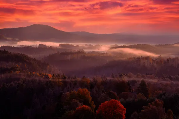 Europe Autumn Landscape Red Pink Twilight Morning Sunrise Nature Fall — Stock Photo, Image