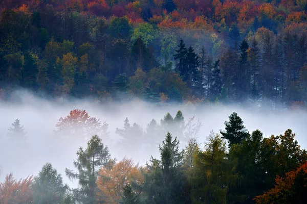 Czeski Typowy Jesienny Krajobraz Wzgórza Las Mglistym Porankiem Poranna Jesienna — Zdjęcie stockowe
