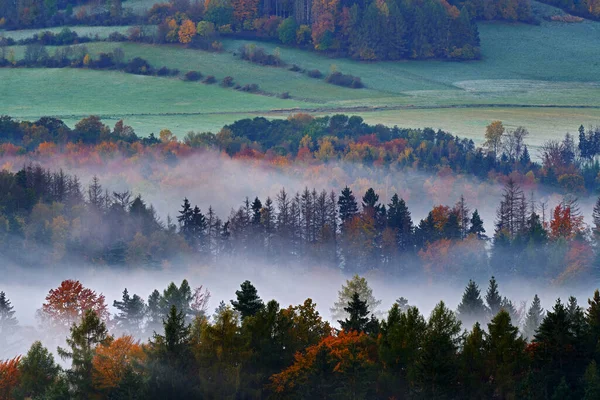 捷克典型的秋天风景 多雾的晨光笼罩着高山和森林 波希米亚瑞士公园的早秋山谷 Ceske Svycarsko 野生欧洲 雾蒙蒙的风景 倒下的桔树 — 图库照片