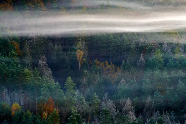 Checo Paisaje Típico Otoño Colinas Bosque Con Niebla Mañana Valle — Foto de Stock